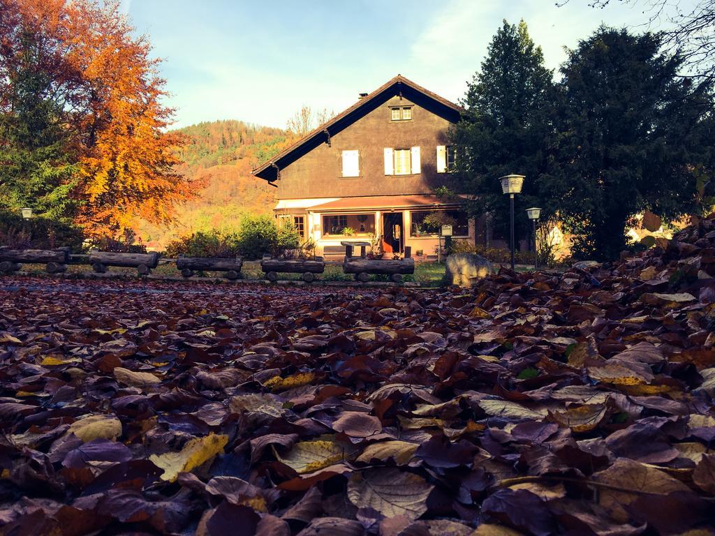 Le Chalet Luttenbach-pres-Munster Luaran gambar