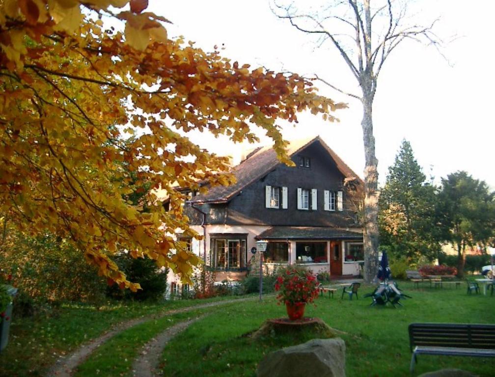 Le Chalet Luttenbach-pres-Munster Luaran gambar