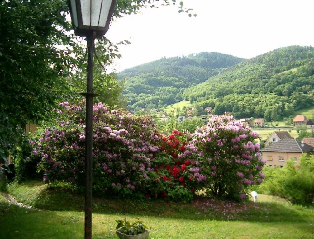 Le Chalet Luttenbach-pres-Munster Luaran gambar